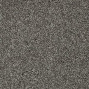INSPIRED BY I by Shaw Floors - Graphite