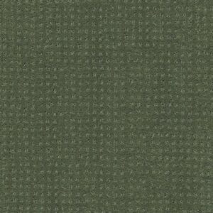 MY CHOICE PATTERN by Shaw Floors - Bay Laurel