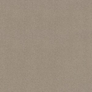 MY CHOICE III by Shaw Floors - Glaze