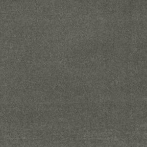 MY CHOICE III by Shaw Floors - Charcoal
