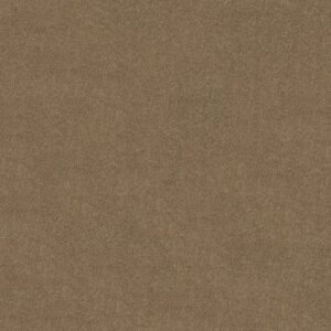 MY CHOICE III by Shaw Floors - Saffron