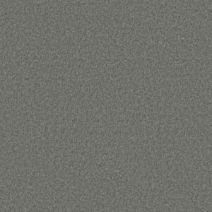 PARLAY by Shaw Floors - Sterling