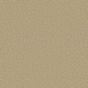 PARLAY by Shaw Floors - Muslin