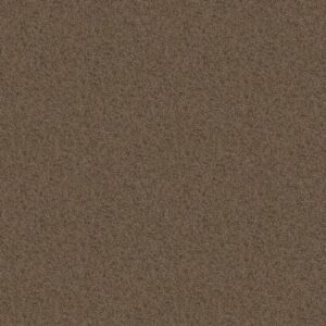 EXPECT MORE (S) by Shaw Floors - Bird House