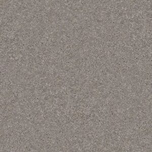 CASHMERE CLASSIC II by Shaw Floors - Pacific