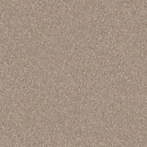 MAJORITY RULES by Shaw Floors - Mole Hill