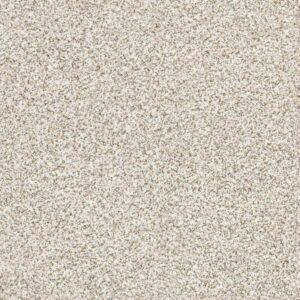 DEVON CLASSIC I by Shaw Floors - Breton