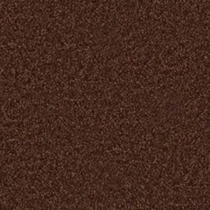 ALL STAR WEEKEND III 12' by Shaw Floors - Flower Pot