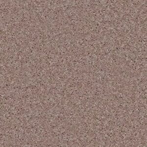 ALL STAR WEEKEND III 12' by Shaw Floors - Tassel