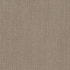 STAY FIT by Shaw Floors - French Linen