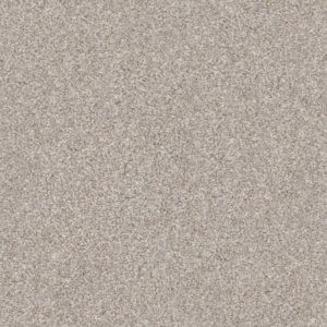 MAKE IT MINE II by Shaw Floors - Winter Dunes