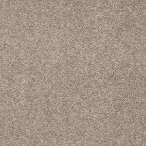 SOPHISTICATION 15' by Shaw Floors - Chinchilla