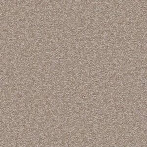 SANDY HOLLOW II 12' by Shaw Floors - Chinchilla