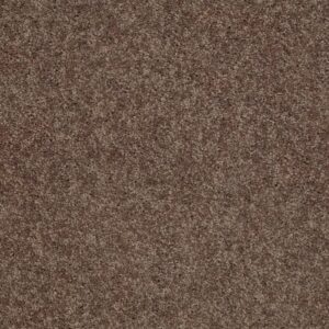 ROYAL PORTRUSH II 12' by Shaw Floors - Cattail