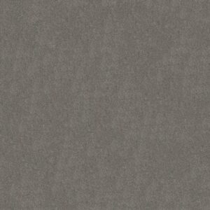 KEEN SENSES II by Shaw Floors - Slate