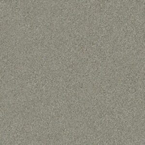 MOMENTUM II by Shaw Floors - Rockslide