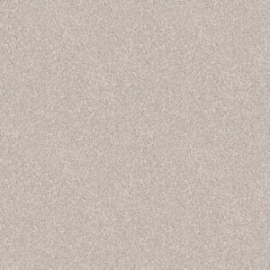 GRANDIOSE by Shaw Floors - Gallery Opening