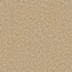 DREAMIN' 12' by Shaw Floors - Light Aspiratio