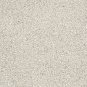 GOLD TEXTURE TONAL by Shaw Floors - Denali