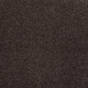 LOOK FORWARD by Shaw Floors - Cabot Trail