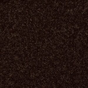 ALL STAR WEEKEND II 15' by Shaw Floors - Coffee Bean