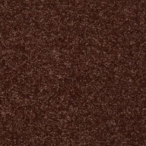 ALL STAR WEEKEND II 12' by Shaw Floors - Flower Pot