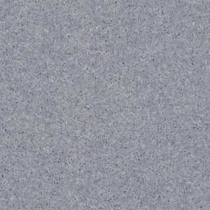 ALL STAR WEEKEND II 15' by Shaw Floors - Dolphin