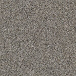 STRANDS OF NATURE III by Shaw Floors - Antique Pin