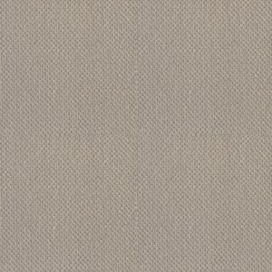 SUBTLE SHIMMER LOOP by Shaw Floors - Textured Canvas