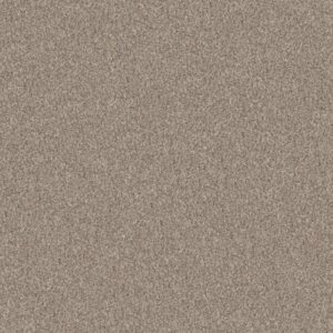 YES YOU CAN III 15' by Shaw Floors - Natural