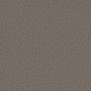 ARTISTIC FUSION II by Shaw Floors - Cafe Noir