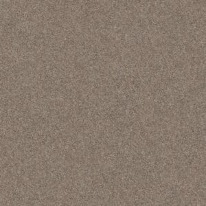 YES YOU CAN III 12' by Shaw Floors - Cameo