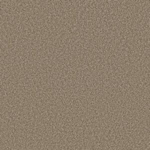 ARTISTIC FUSION II by Shaw Floors - Cameo