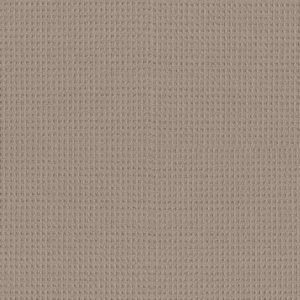 FRAMED VIEW by Shaw Floors - Pebble Path