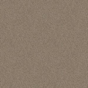 INFLUENCER by Shaw Floors - Raw Wood
