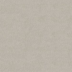CHIC SHADES by Shaw Floors - Winters Dawn