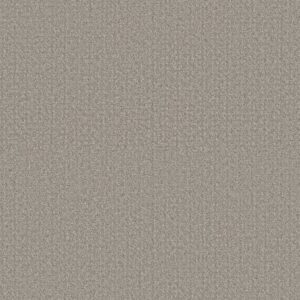 SECRET PASSAGE by Shaw Floors - Split Sediment