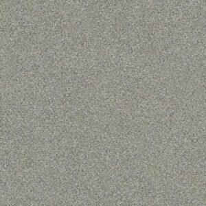 BOUNDLESS IV by Shaw Floors - Distant Star