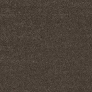 BOUNDLESS IV by Shaw Floors - Cabana