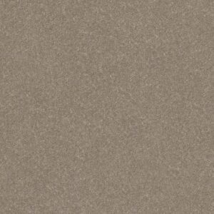 SMOOTH TALK I by Shaw Floors - Anew Grey