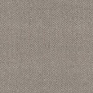 EMBELLISHED by Shaw Floors - Asteroid