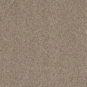 TRUSPIRIT II by Shaw Floors - Cottage