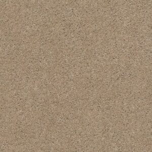 EXPLORER by Shaw Floors - Sierra Hills