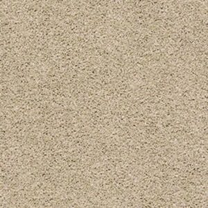 ACADIA PARK by Shaw Floors - Dhurrie