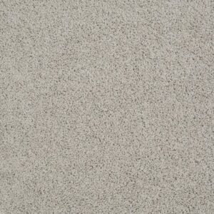 DEL MORRO by Shaw Floors - Gray Whisper