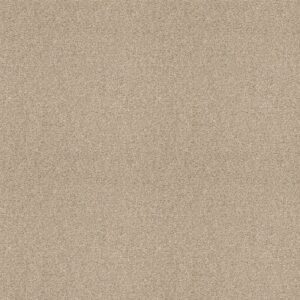 OCEAN VIEW by Shaw Floors - Softer Tan