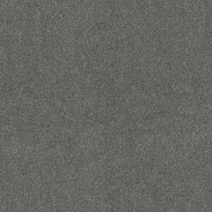 OCEAN VIEW by Shaw Floors - Mineralite