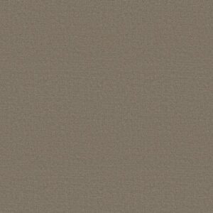 SOLSTICE by Shaw Floors - Koala