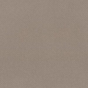 DEL VISTA by Shaw Floors - Barista