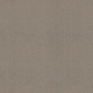 ONE MORE HOUR by Shaw Floors - Moonrock